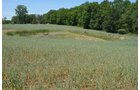 Property photo 49 - 21 Acre Modern Country Estate